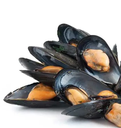 Замороженные морепродукты